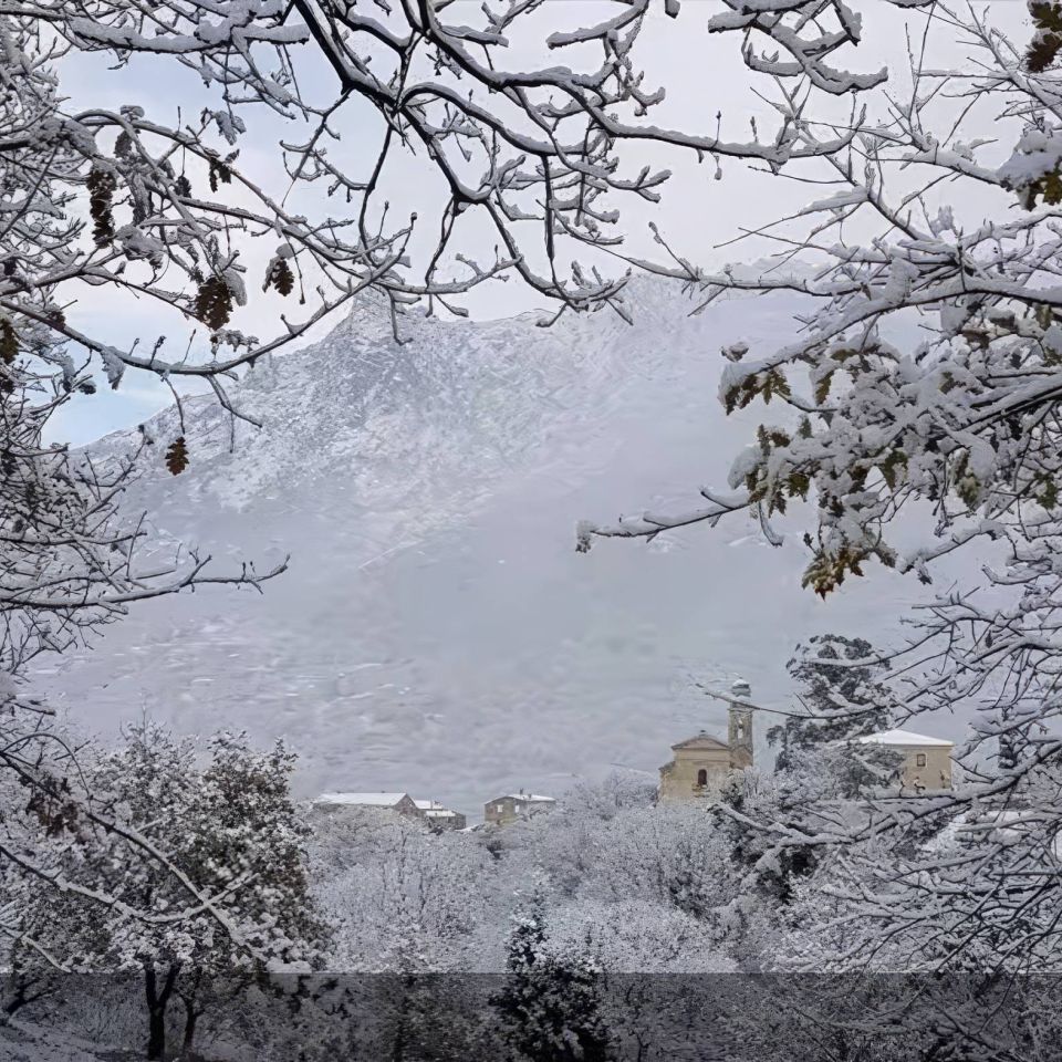 Un paysage enneigé avec des arbres givrés et un bâtiment lointain, sur fond de montagnes brumeuses.