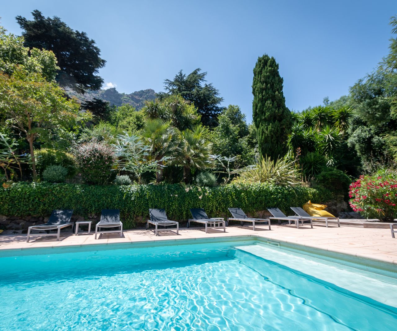 A serene poolside scene with lounge chairs surrounded by lush greenery and blue skies, perfect for relaxation.