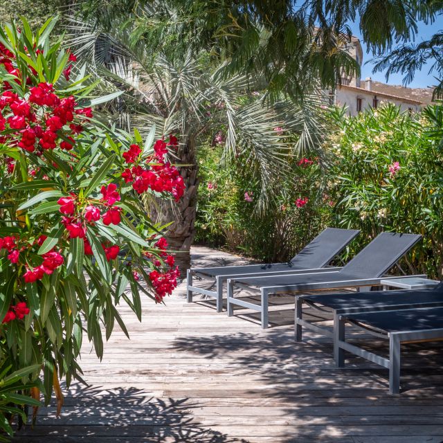 A serene outdoor space features lounge chairs surrounded by vibrant red flowers and lush greenery.