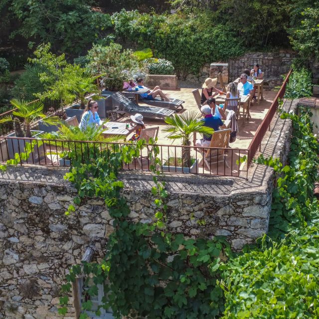 A terrace surrounded by greenery, where guests relax on lounge chairs and at tables enjoying drinks under the sun.