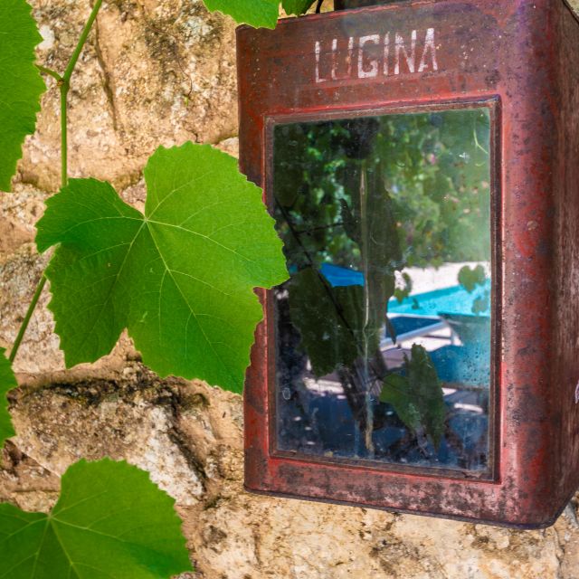 An old rusty box hangs on a stone wall, surrounded by lush green leaves, reflecting its surroundings.