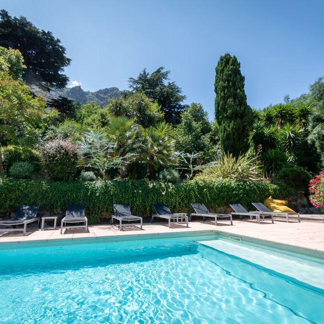 A serene poolside scene with lounge chairs surrounded by lush greenery and blue skies, perfect for relaxation.