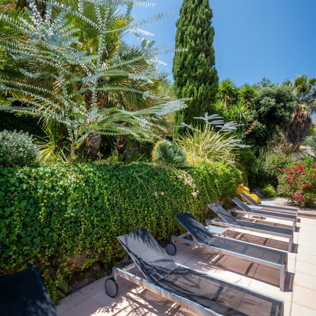 Lounge chairs lined up beside lush greenery and tall trees under a clear blue sky create a serene outdoor space.