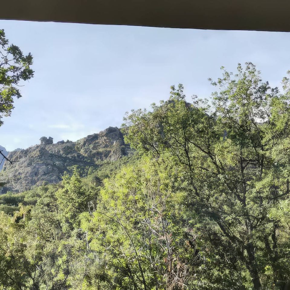 Une vue panoramique d'arbres verts encadrant des collines rocheuses sous un ciel dégagé, alliant la tranquillité et la beauté de la nature.