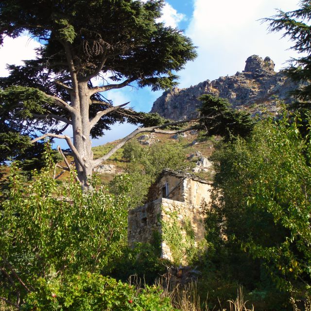 A weathered stone building nestled among lush greenery, framed by tall trees and rocky hills under a blue sky.