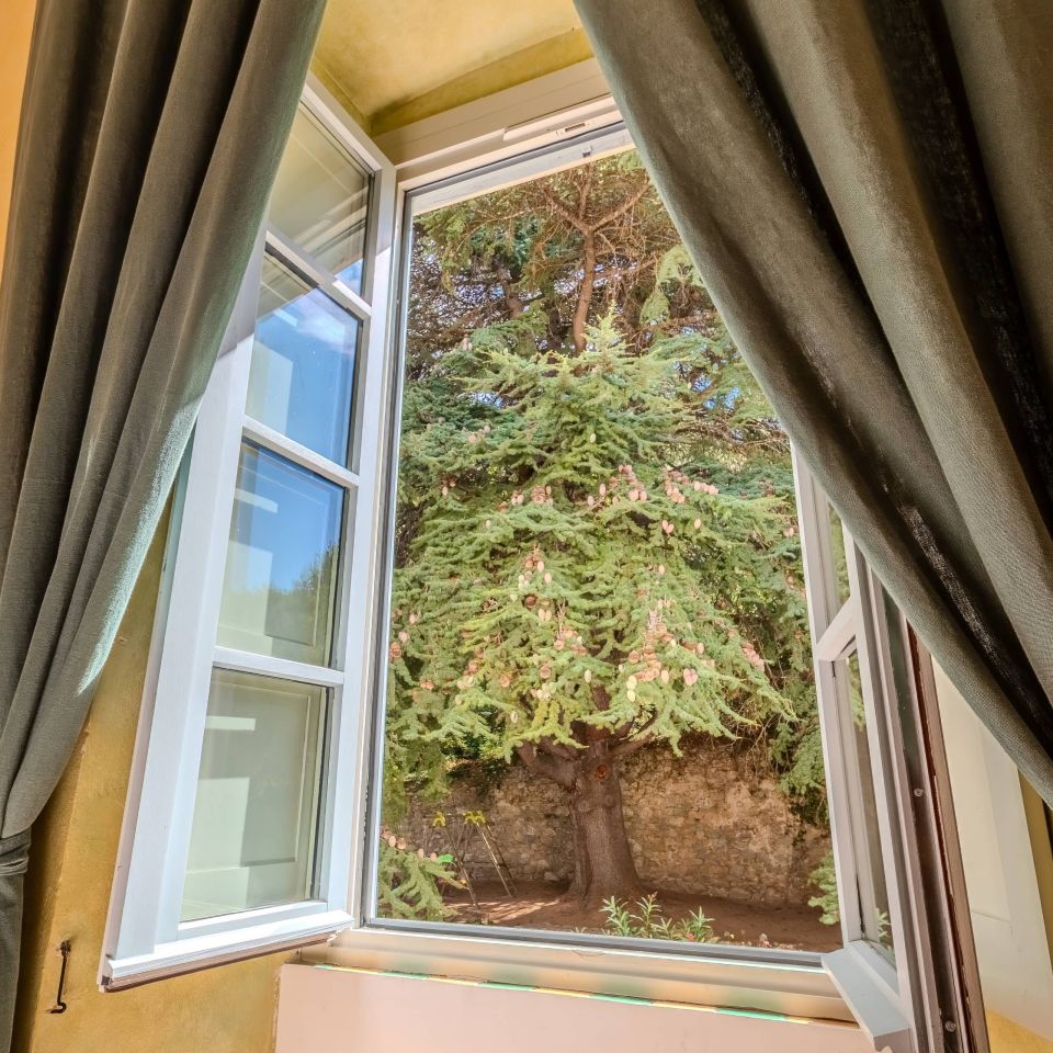 A bright window view featuring lush green trees, framed by dark curtains and warm yellow walls.