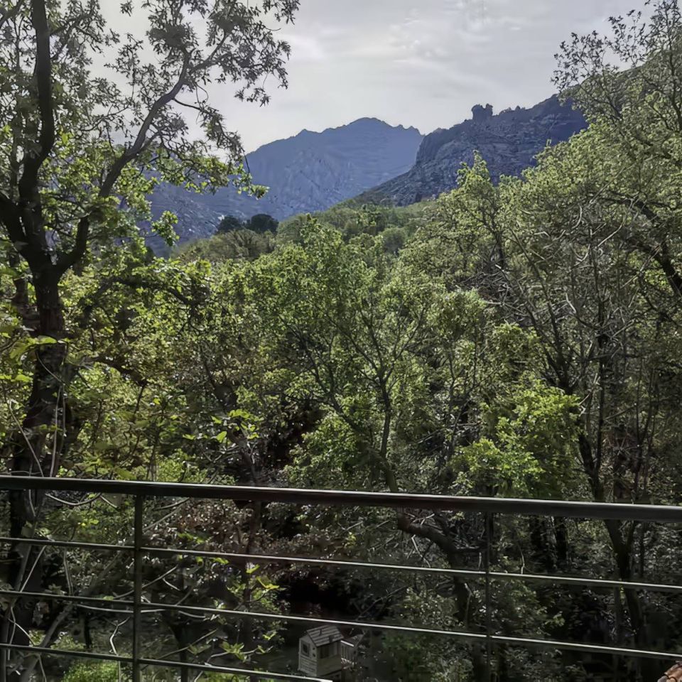 Lush green trees frame a mountainous landscape under a partly cloudy sky, viewed from a balcony.