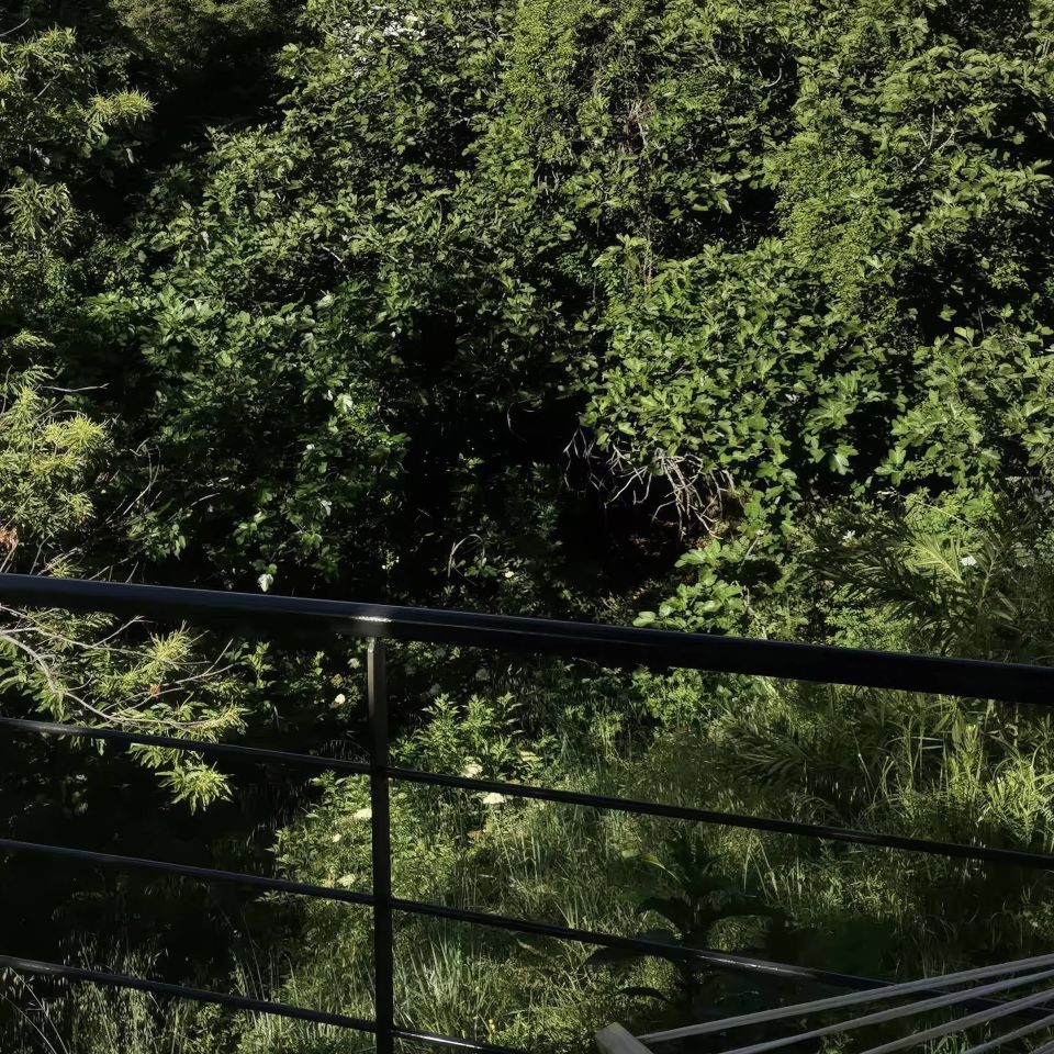 A lush green hillside with trees, a hammock in the foreground, and a clear blue sky above.