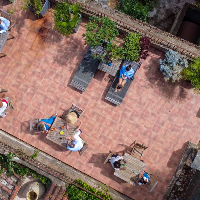 Una vista aerea di una terrazza con persone sedute a tavoli circondate da verde e che si rilassano su lettini.