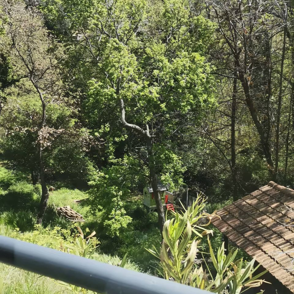 Lush green trees surround a charming hotel, set against majestic mountains under a clear blue sky.