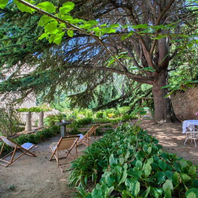 Una scena di giardino serena con sedie, un tavolo e un grande albero circondato da vegetazione lussureggiante. Perfetto per rilassarsi.